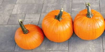 Hola. Vendo calabazas de Halloween de 1 a 3