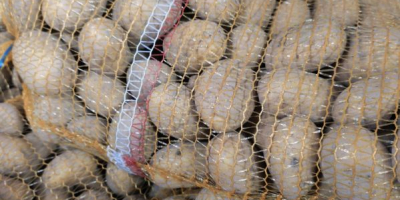 Estoy vendiendo patatas comestibles