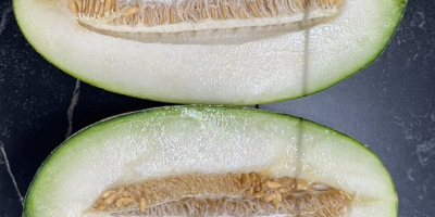Buenos días, vendo melones de Uzbekistán. Directamente de la