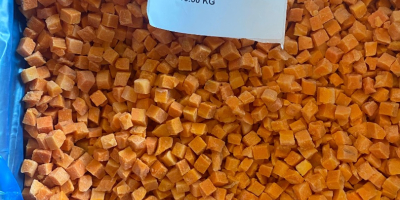 Cubos de zanahoria congelados de primera calidad 10*10