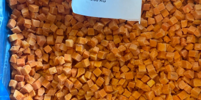Cubos de zanahoria congelados de primera calidad 10*10