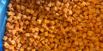 Cubos de zanahoria congelados de primera calidad 10*10