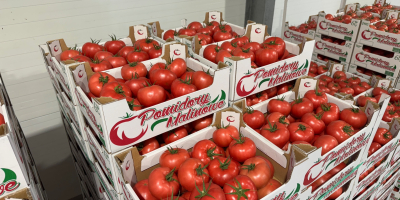 ¡Hola! JAREX ofrece tomates frambuesa 1B, 2B y 3B.