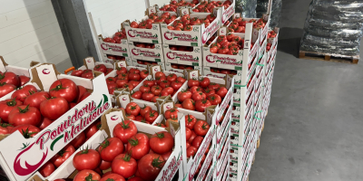 ¡Hola! JAREX ofrece tomates frambuesa 1B, 2B y 3B.