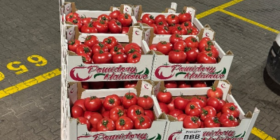 ¡Hola! JAREX ofrece tomates frambuesa 1B, 2B y 3B.