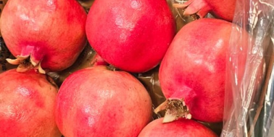 Detalles del producto: Origen: Egipto Variedad: Granada fresca maravillosa