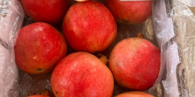 Detalles del producto: Origen: Egipto Variedad: Granada fresca maravillosa