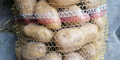 Hola, vendo patatas comestibles de las variedades Bellarosa, Red