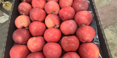 Red Delicious calibre 70+, envase de cartón para toda