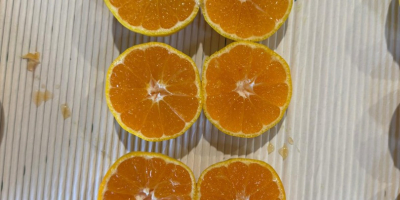 Mandarinas croatas Dolina Neretve
