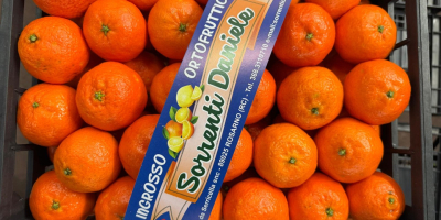 DMD Fruit Srl es una empresa familiar con sede
