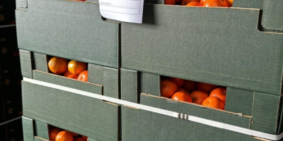 DMD Fruit Srl es una empresa familiar con sede