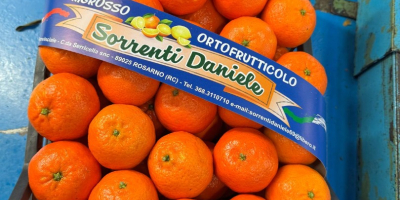 DMD Fruit Srl es una empresa familiar con sede