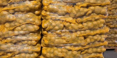 Hola, vendo papas FITO. Ofrezco variedades como Queen Anne,