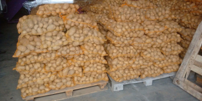 Vendo papas de la cosecha de este año. Sabrosas,