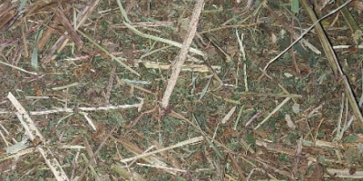 Tengo de 2 a 3 toneladas de ulmaria a