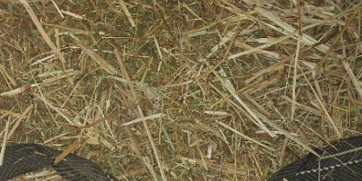 Tengo de 2 a 3 toneladas de ulmaria a