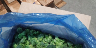 Brócoli congelado (paquete/caja de 7 kg) Volumen ilimitado disponible