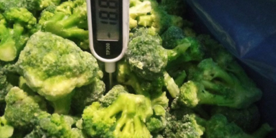 Brócoli congelado (paquete/caja de 7 kg) Volumen ilimitado disponible