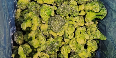 Brócoli congelado (paquete/caja de 7 kg) Volumen ilimitado disponible