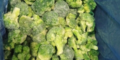 Brócoli congelado (paquete/caja de 7 kg) Volumen ilimitado disponible