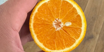 Naranja País de origen Grecia Variedad Valencia Dulce Disponible