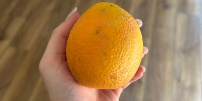 Naranja País de origen Grecia Variedad Valencia Dulce Disponible