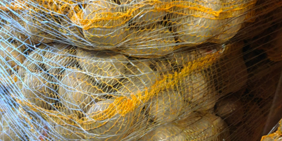 Tengo más de 50 papas a la venta: variedades