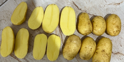 Patatas Queen Anna, Gala, Lili, Bernina con o sin