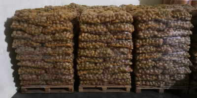 Vendo patatas de las variedades Gala y Denar, muy