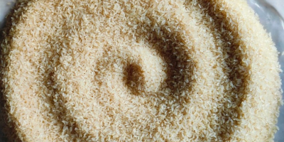 Arroz no basmati, amarillo, Ir 64, envase BOPP de