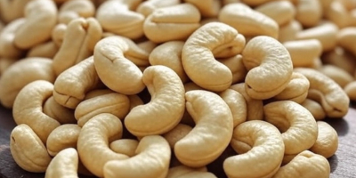 Anacardos premium para profesionales de la alimentación exigentes. Producción