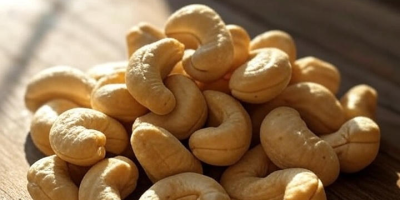 Anacardos premium para profesionales de la alimentación exigentes. Producción