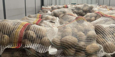 Papas alemanas premium: venta al por mayor en toda
