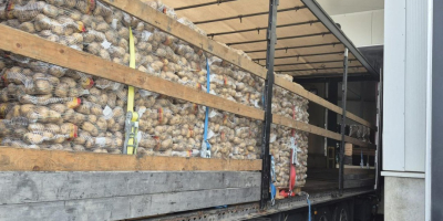 Papas alemanas premium: venta al por mayor en toda