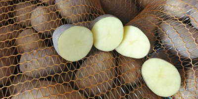 Hola. Vendo papas amarillas y rojas. Cantidades para camiones