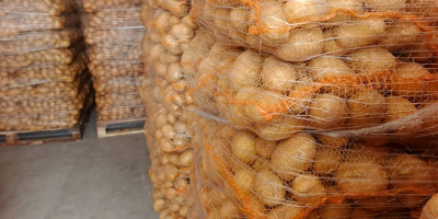 Hola. Vendo papas amarillas y rojas. Cantidades para camiones