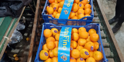 TEMPORADA LLENA DE VITAMINAS Y COLORES, TE TRAEMOS OTRA
