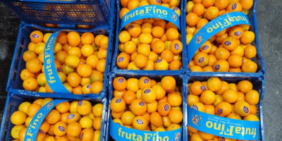 TEMPORADA LLENA DE VITAMINAS Y COLORES, TE TRAEMOS OTRA
