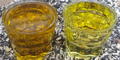 Aceite de girasol, harina y tortas de girasol desde