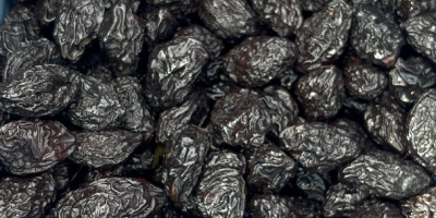 Ciruelas pasas secas a la venta – Directamente del