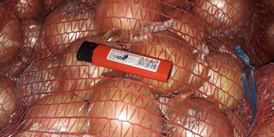 El productor vende cebollas de la cosecha de 2025.