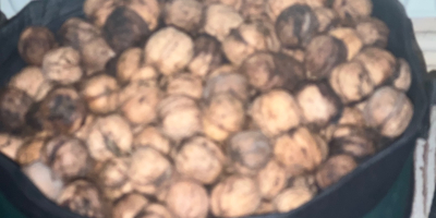 Tengo 35 kilos de frutos secos frescos.