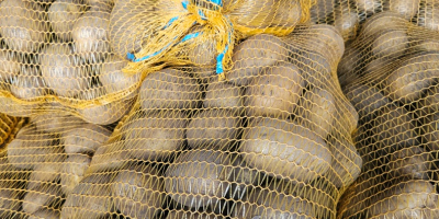 Vendo patatas comestibles de las variedades Ignacy, Soraya y