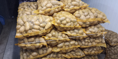 Hola. Tengo a la venta patatas comestibles Soraya y