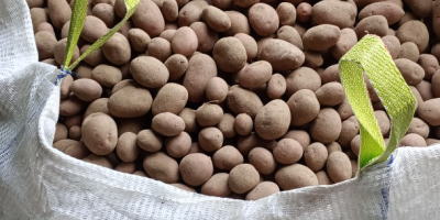 Hola. Tengo a la venta patatas comestibles Soraya y