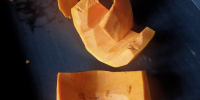 Venderé calabaza pelada Bambino y Otylia número de teléfono