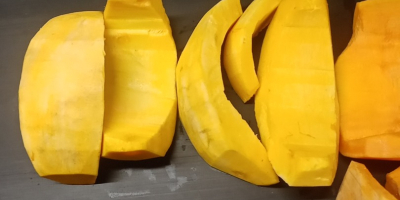 Venderé calabaza pelada Bambino y Otylia número de teléfono