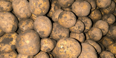 Vendo papas variedad SH 1010 para freír. Precio negociable.