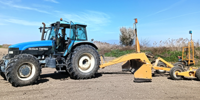 Disponemos de grandes cantidades de arroz recién cosechado de